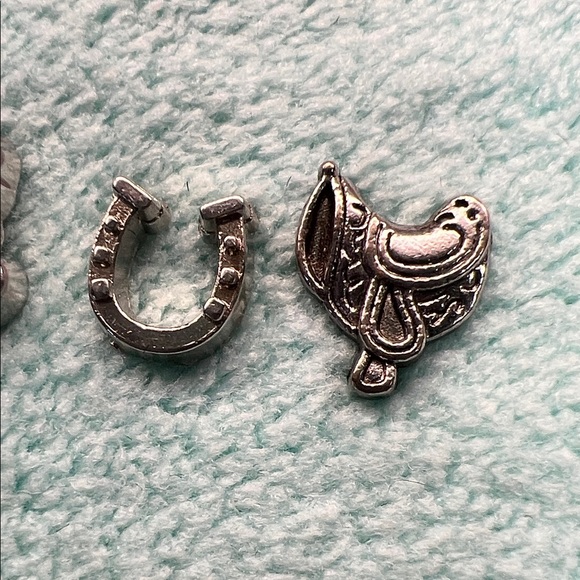 Floating Locket Charms - Picture 4 of 4